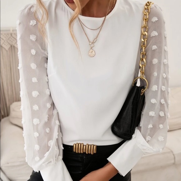 Elegant Dotted Sleeve Blouse - Picture 2 of 8